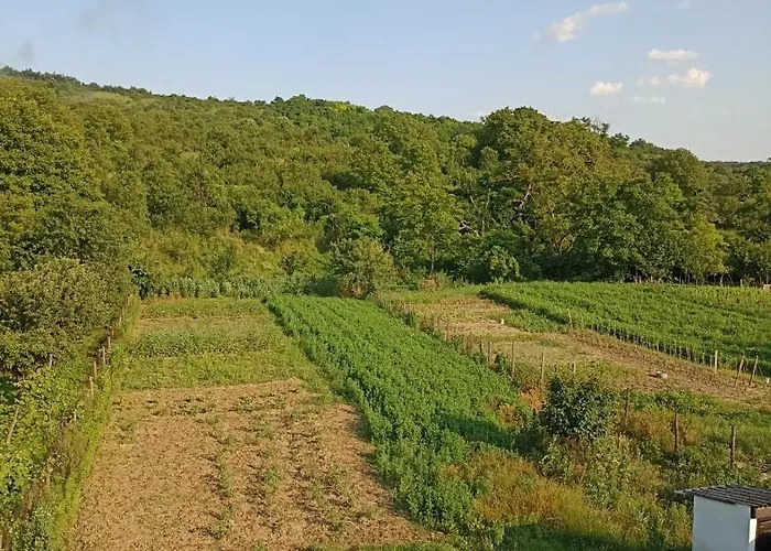 Kуђа на језеру 펜션 Sot